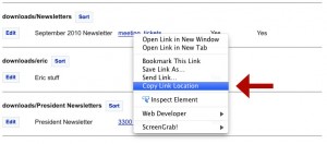Right click on the file name and choose Copy Link Location (or Copy Shortcut in Internet Explorer)