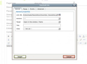 Paste the link to the file by hitting CTRL + V on your keyboard